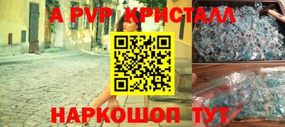 гашик Берёзовский