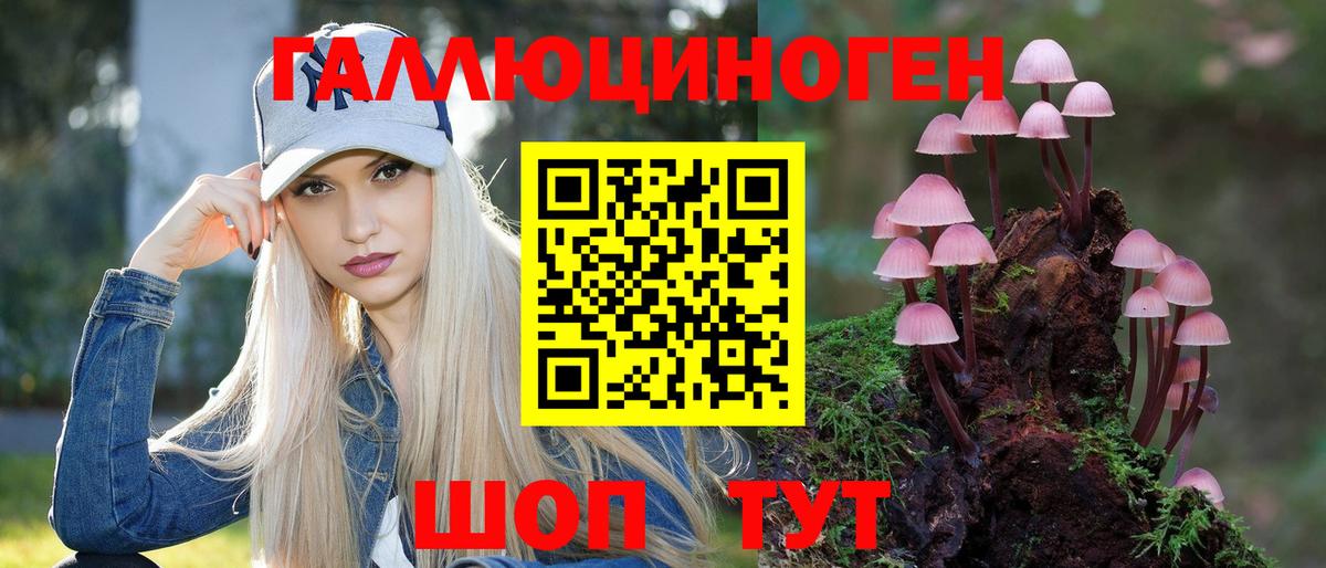 Галлюциногенные грибы Psilocybe  Вход с VPN  Ивантеевка 